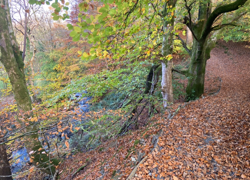 Guided Trail Run - Precipice Walk and Foel Offrwm