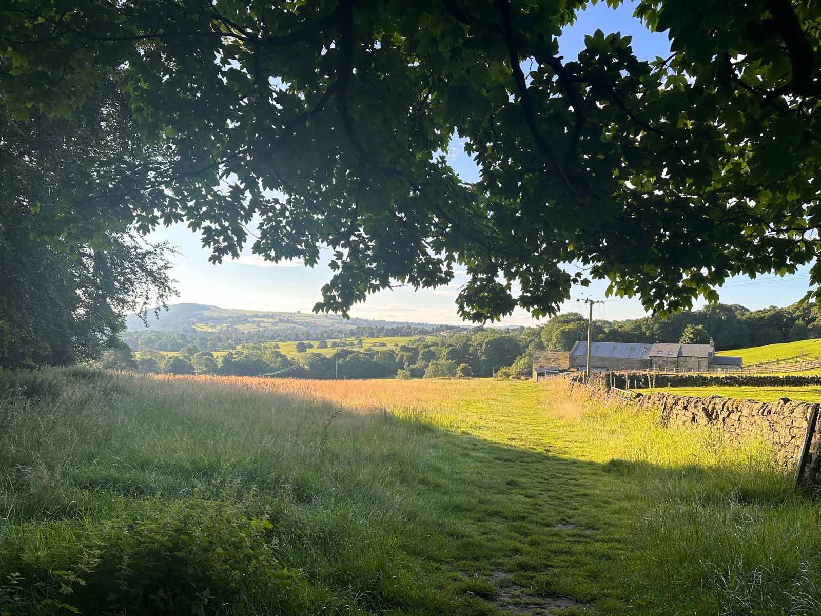 The Ebor Way